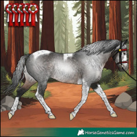Horse Color:Gray Brown Tobiano Rabicano