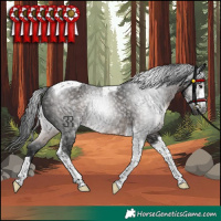 Horse Color:Gray Brown Tobiano Rabicano 
