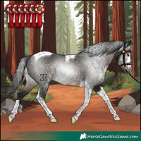 Horse Color:Gray Brown Tobiano Rabicano 