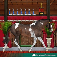 Horse Color:Brown Tobiano Rabicano 