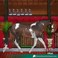 Horse Color:Brown Tobiano Rabicano