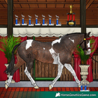 Horse Color:Brown Tobiano Rabicano 