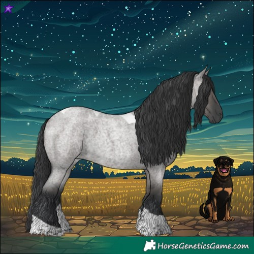 Horse Color:Grullo Roan Tobiano 