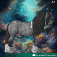 Horse Color:Blue Roan Tobiano 