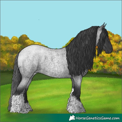 Horse Color:Blue Roan Tobiano 