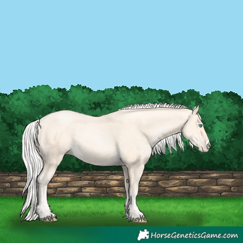 Horse Color:Silver Buckskin Pearl 