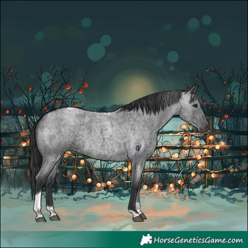 Horse Color:Blue Roan Tobiano 