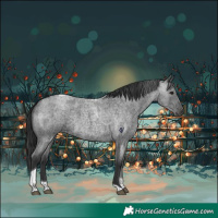 Horse Color:Blue Roan Tobiano