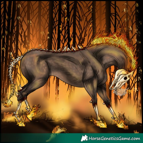 Horse Color:Silver Brown Dun