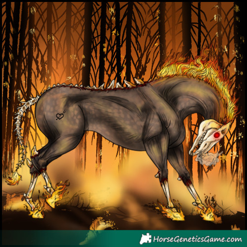 Horse Color:Silver Brown Dun