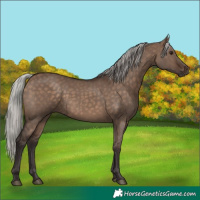 Horse Color:Silver Brown Dun