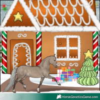 Horse Color:Silver Brown Dun 