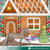 Horse Color:Silver Brown Dun 