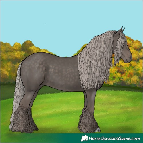 Horse Color:Silver Black