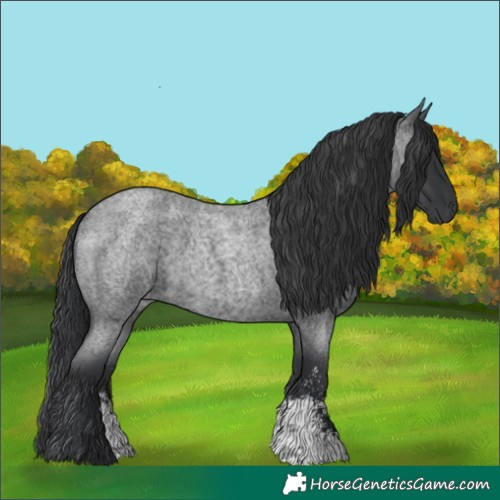 Horse Color:Blue Roan Sabino Rabicano 