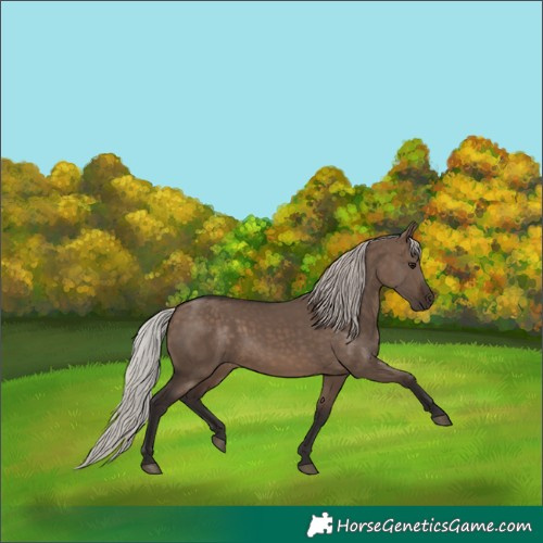 Horse Color:Silver Brown Dun