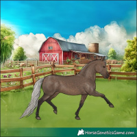 Horse Color:Silver Brown Dun