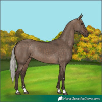 Horse Color:Silver Brown Dun