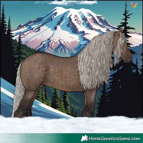 Horse Color:Silver Brown Dun