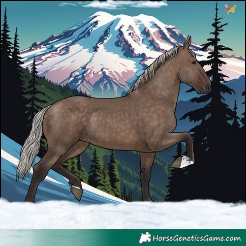 Horse Color:Silver Brown Dun 