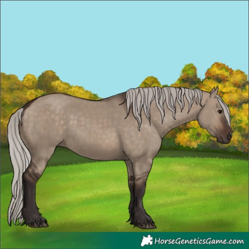 Horse Color:Silver Brown Dun