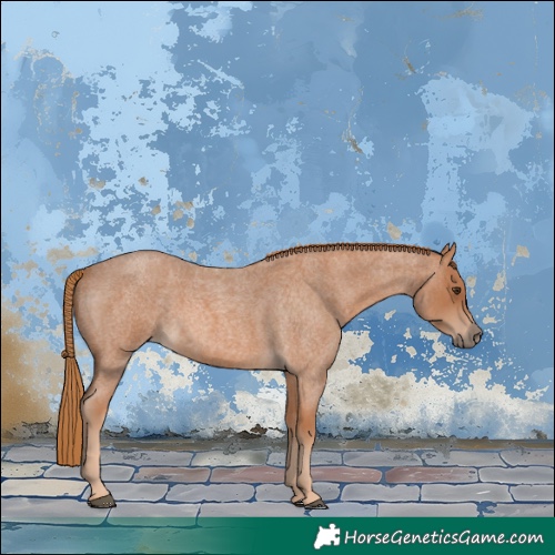 Horse Color:Red Roan 