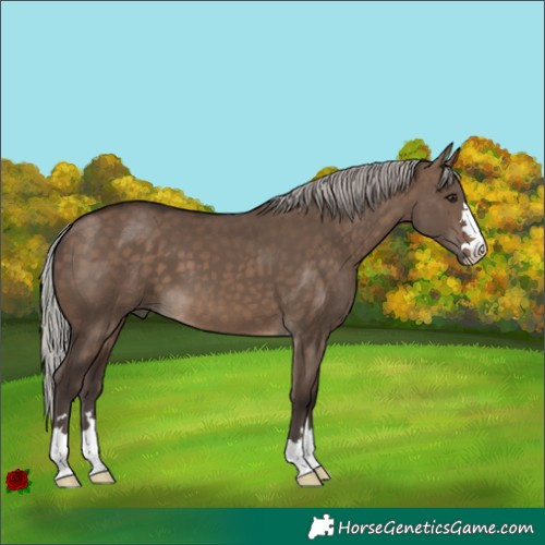 Horse Color:Silver Brown Dun 