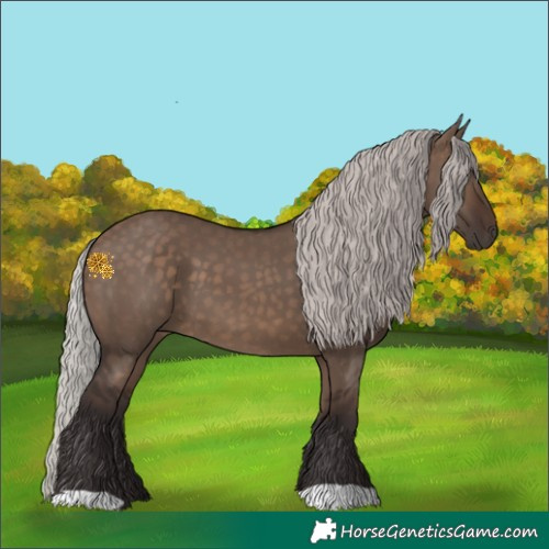 Horse Color:Silver Brown Dun 