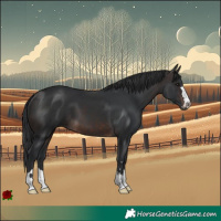 Horse Color:Brown 