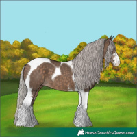 Horse Color:Silver Brown Dun Sabino Tobiano 