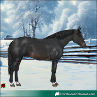 Horse Color:Brown 