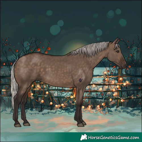 Horse Color:Silver Brown Dun 