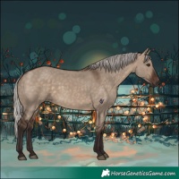 Horse Color:Silver Brown Dun