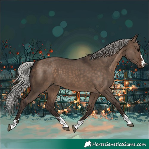 Horse Color:Silver Brown Dun 