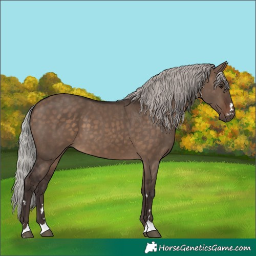 Horse Color:Silver Brown Dun