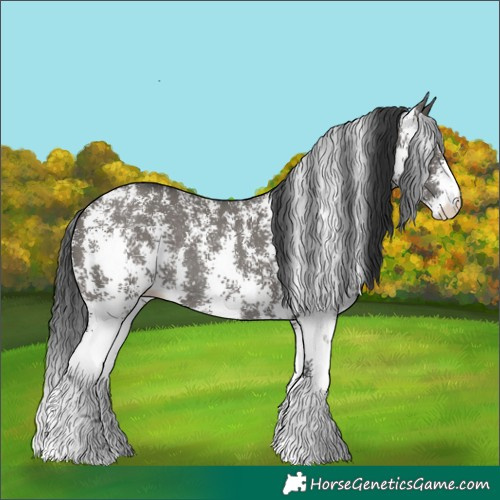 Horse Color:Grullo Sabino Rabicano 