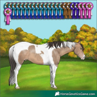 Horse Color:Sable Champagne Tobiano
