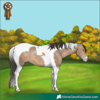 Horse Color:Sable Champagne Tobiano 