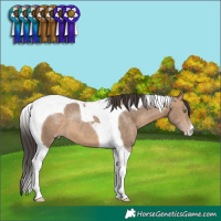 Horse Color:Sable Champagne Tobiano 