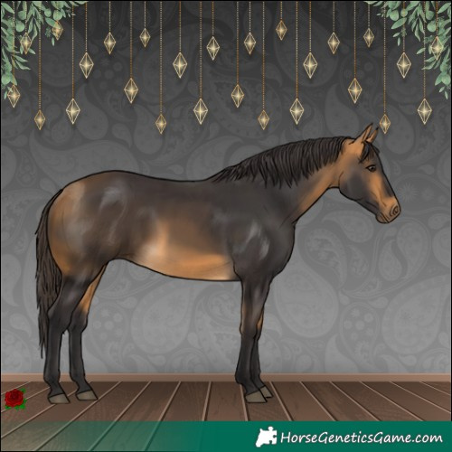 Horse Color:Buckskin 