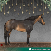 Horse Color:Buckskin
