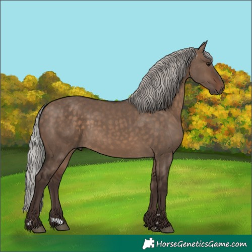 Horse Color:Silver Brown Dun