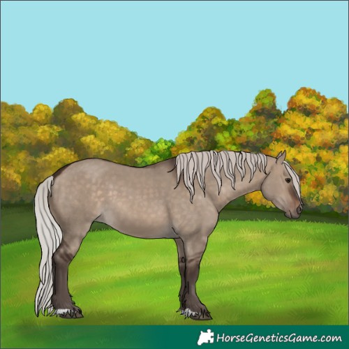 Horse Color:Silver Brown Dun