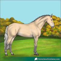 Horse Color:Silver Buckskin 