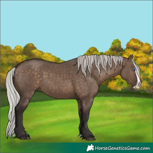 Horse Color:Silver Brown Dun Splash 