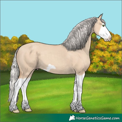 Horse Color:Silver Classic Champagne Dun Splash Frame