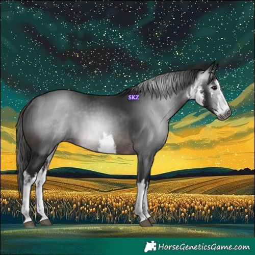 Horse Color:Gray White Spotted Brown 