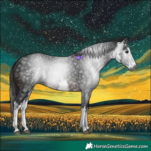 Horse Color:Gray White Spotted Brown 