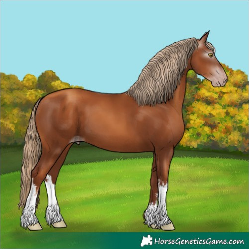 Horse Color:Gray White Spotted Gold Champagne 