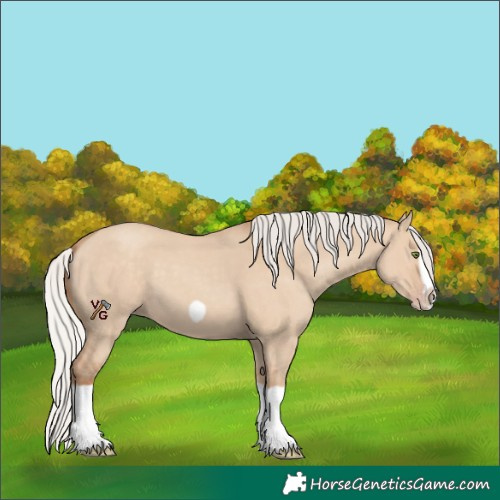 Horse Color:Silver Classic Champagne Dun Splash Frame 